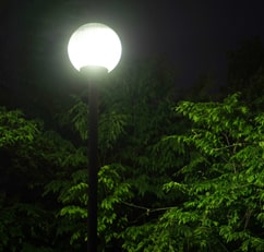 ライフスタイル